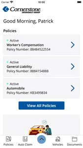 Cornerstone Insurance Group screenshot 1