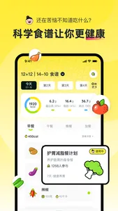 轻食Go - 减肥食谱健康记录 screenshot 4