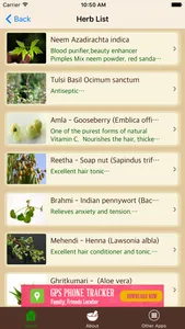 Ayurvedic Remedies - Treatment - Herbs screenshot 1