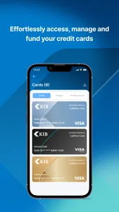 KIB Corporate screenshot 1