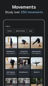 Thenics Flow screenshot 4