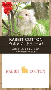 RABBIT COTTON screenshot 0