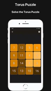 Torus Puzzle screenshot 0