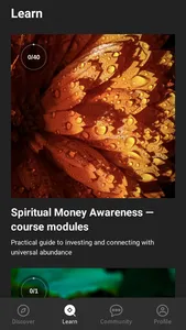 Spiritual Money screenshot 1