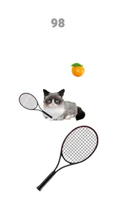 Cat Meow: Sport Battle screenshot 4