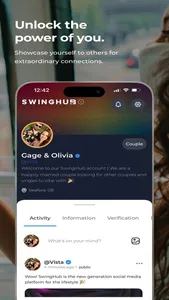 SwingHub screenshot 2