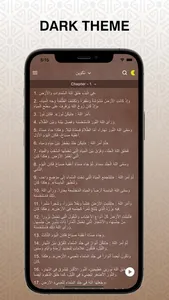 NAV Arabic Audio Bible screenshot 5