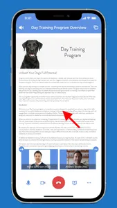 Nate Schoemer Dog Training screenshot 4