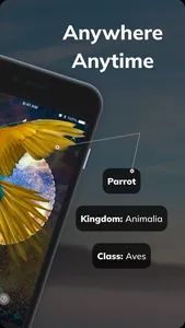 Bird Detect screenshot 1