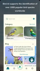 Bird Detect screenshot 2