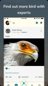 Bird Detect screenshot 4