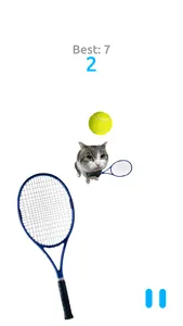 Cat Tennis Battle screenshot 0