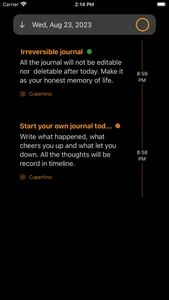 Orange Journal screenshot 1