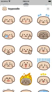 toy poodle sticker screenshot 0