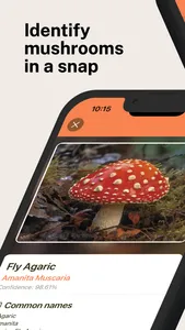 Mushroom Identification Pro screenshot 0