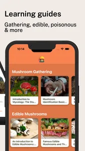 Mushroom Identification Pro screenshot 2