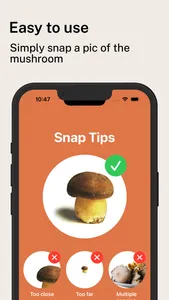 Mushroom Identification Pro screenshot 3