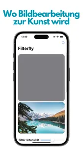 Filterfly screenshot 2