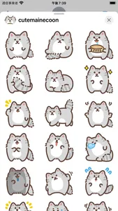 cute mainecoon sticker screenshot 0