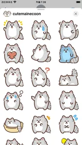 cute mainecoon sticker screenshot 1