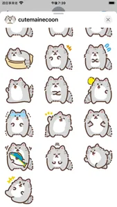 cute mainecoon sticker screenshot 2