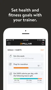 3 Pillar Training screenshot 2