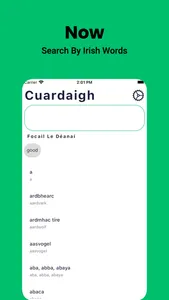 Irish Dictionary - Dict Box screenshot 5