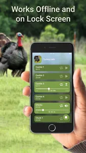 Hunting Calls: Turkey screenshot 2