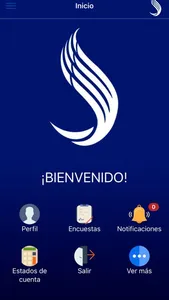 Colegio San Ángel screenshot 1