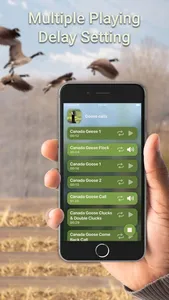 Hunting Calls: Goose screenshot 1