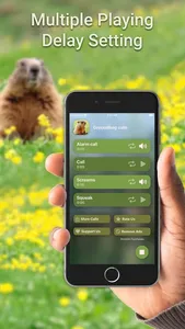 Hunting Calls: Groundhog screenshot 1