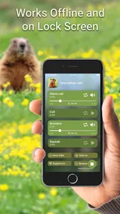 Hunting Calls: Groundhog screenshot 2