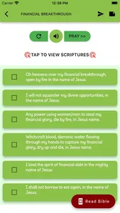 Powerful Prayer Points, Verses screenshot 3