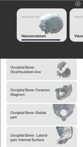 3D Osteology screenshot 3