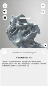 3D Osteology screenshot 7