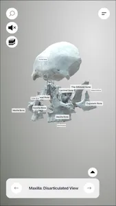 3D Osteology screenshot 8