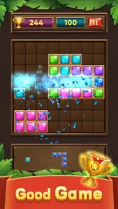 Jewel Block Puzzle Master screenshot 0