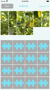 Picture Puzzle 16 screenshot 2