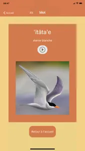 Māramarama screenshot 4