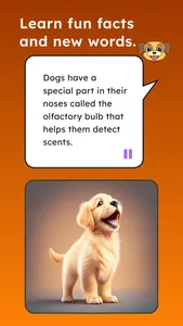 All About Everything: Dogs screenshot 5