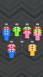 Clothes Sort 3D - Color Puzzle screenshot 2