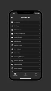 FlutterLab screenshot 0