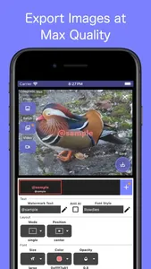 Text Watermark - WaterStamp screenshot 5