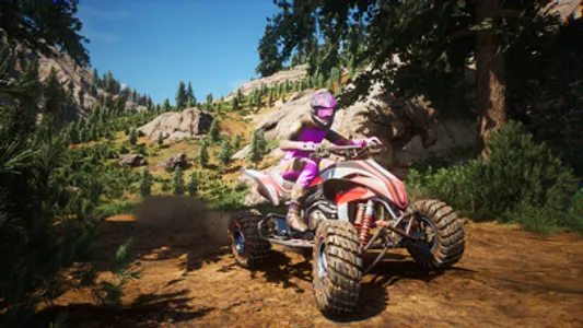 Four Wheeler MX ATV Quad Bike screenshot 1