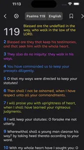 Bible Sos screenshot 0