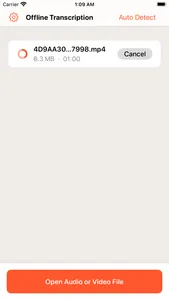 Offline privacy transcription screenshot 2