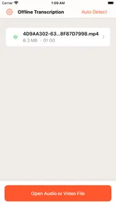 Offline privacy transcription screenshot 3