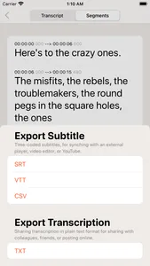 Offline privacy transcription screenshot 6