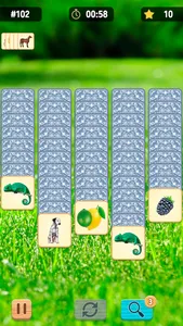 Find The Pairs! screenshot 2