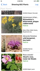 Saskatchewan Wildflowers screenshot 6